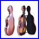 4_4_Cello_s_Case_Carbon_Fiber_Hard_Shell_Wheels_Embedded_Handle_Lightweight_01_lpd