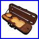 4_4_Violin_Box_with_Hygrometer_Hard_Shell_Case_for_Music_Lovers_DTS_UK_01_tqy