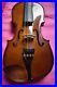 Beautiful_Stentor_Violin_with_case_bow_full_strings_1_2_size_12_01_zbm