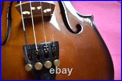 Beautiful Stentor Violin with case, bow full strings. 1/2 size 12