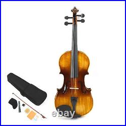 Beginner Stringed Instruments Kit All Hand Made Hard Texture Violin Set Fine