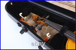 Black Violin Case 4/4 full Size Lightweight Hard Shell travel violin case