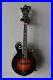 Brand_New_The_Loar_LM_600_VS_Professional_F_Style_Mandolin_with_Hard_Case_01_jluk