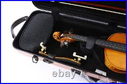 Carbon Fiber Hard Violin Case 4/4 size with Backstraps Durable handles, Rose