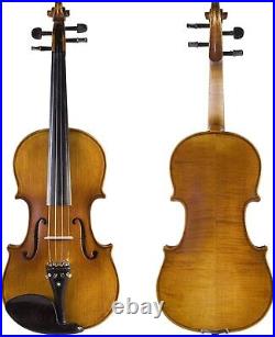 Cecilio CVN-500 Solidwood Ebony Fitted Violin withPrelude Strings, 1/2 Nickel