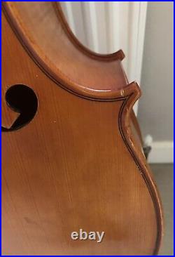 Cello 4/4 & Sinfonica Case