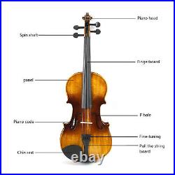 Different Gift Violin Kit Hard Texture Violin Set For Practice Exam For Junior