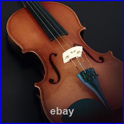 Eastar 4/4 Full Size Violin Maple Acoustic Violins+Hard Case Bow Shoulder Rest