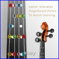 Eastar 4/4 Full Size Violin Maple Acoustic Violins+Hard Case Bow Shoulder Rest