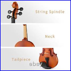 Eastar 4/4 Full Size Violin Maple Acoustic Violins+Hard Case Bow Shoulder Rest