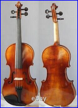 Excellent adult violin fiddle 4/4 powerful tone violine geige