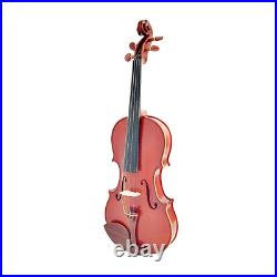 Full Size SRVA211442 Violin Outfit