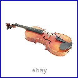 Harmonic Brilliance, The AVA110 Symphony Violin