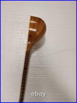 High quality professional Setar, Sehtar, Sitar with hard case