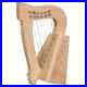 Irish_Lyre_Harp_Rosewood_6_String_Hand_Engraved_King_David_Harp_Lyre_Hard_Case_01_naqm