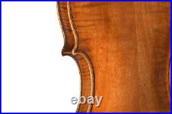 Italian Violin 1780 (certified plus dendro report plus sound clip)