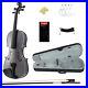 Kinglos_Full_Size_4_4_Colored_Ebony_Fitted_Solid_Wood_Violin_Kit_Black_White_01_bxk