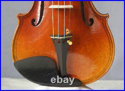 Master handbuilt Maggini violin fiddle 4/4 professional full powerful tone