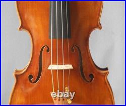 Master handcraft concert violin fiddle 4/4 strong tone violon geige