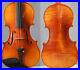 Master_handcraft_fiddle_Guarneri_violin_4_4_violon_powerful_mellow_tone_fiddle_01_kxm