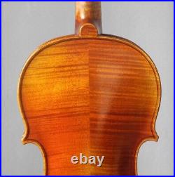 Master handcraft violin Stradivari fiddle 4/4 rich powerful tone violon geige