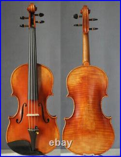 Professional violin4/4 fiddle Guarneri Cannone violon amazing tone instrument