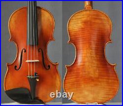 Professional violin4/4 fiddle Guarneri Cannone violon amazing tone instrument