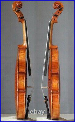 Professional violin4/4 fiddle Guarneri Cannone violon amazing tone instrument