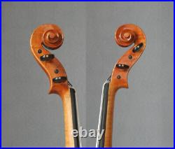 Professional violin4/4 fiddle Guarneri Cannone violon amazing tone instrument