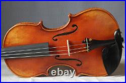 Professional violin4/4 fiddle Guarneri Cannone violon amazing tone instrument