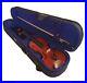 STENTOR_Violin_4_4_Full_Size_With_Bow_and_Case_Used_Once_Mint_Condition_01_lso