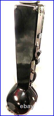 Sitar Shri Ravi Shankar Style Designer Tun Wood Free String Mizrab Fiber Case