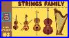 Strings_Family_Instruments_Of_The_Orchestra_Lesson_3_Learning_Music_Hub_Orchestra_01_kqai