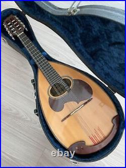 Suzuki Acoustic Mandolin M-30 with Hard Case Exceptional Quality & Value