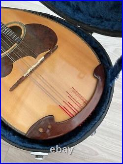 Suzuki Acoustic Mandolin M-30 with Hard Case Exceptional Quality & Value