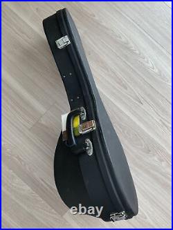 Suzuki Acoustic Mandolin M-30 with Hard Case Exceptional Quality & Value