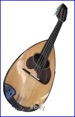 Suzuki M-40 Mandolin Strings Acoustic Vintage Instrument inc Hard Case Violin JP