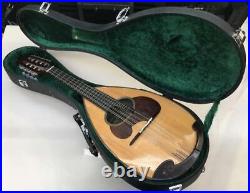 Suzuki M-40 Mandolin Strings Acoustic Vintage Instrument inc Hard Case Violin JP