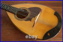 T989 Suzuki Violin Mandolin M-2101974 With Hard Case