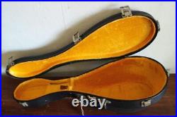 T989 Suzuki Violin Mandolin M-2101974 With Hard Case