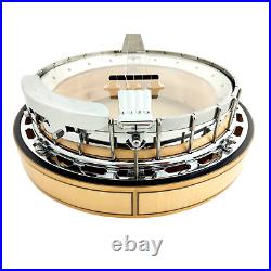 The Harmony of Tradition and Innovation BJ009AM 5-String Banjo