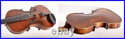 Top Quality Old Vintage 4/4 Master German Made Violin SCHUSTER 1911 & Hard Case