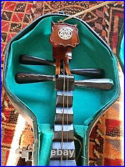 Vintage Chinese Pipa Lute Instrument with Hard Case