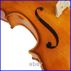 Viola Outfit Prima 2 14 Inch with Bow, Rosin and Hard Case Forenza